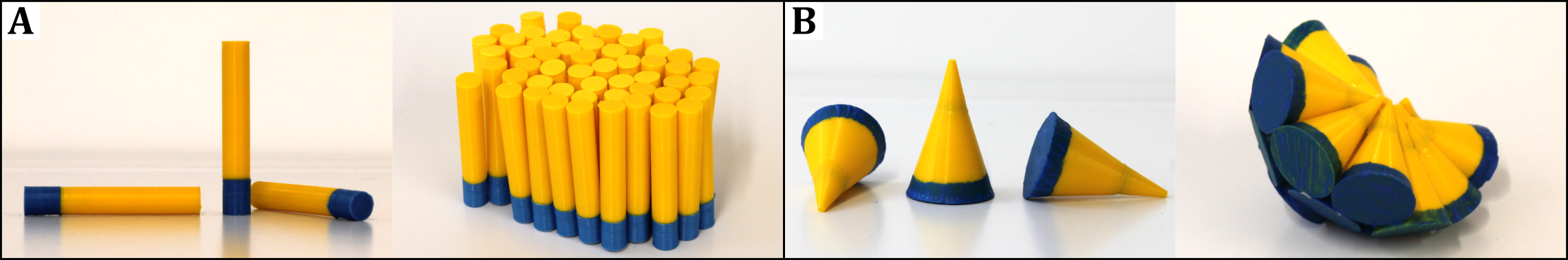 3D-gedruckte Tensid- bzw. Lipidmodelle mit zylindrischer (A) und konischer Geometrie (B). 