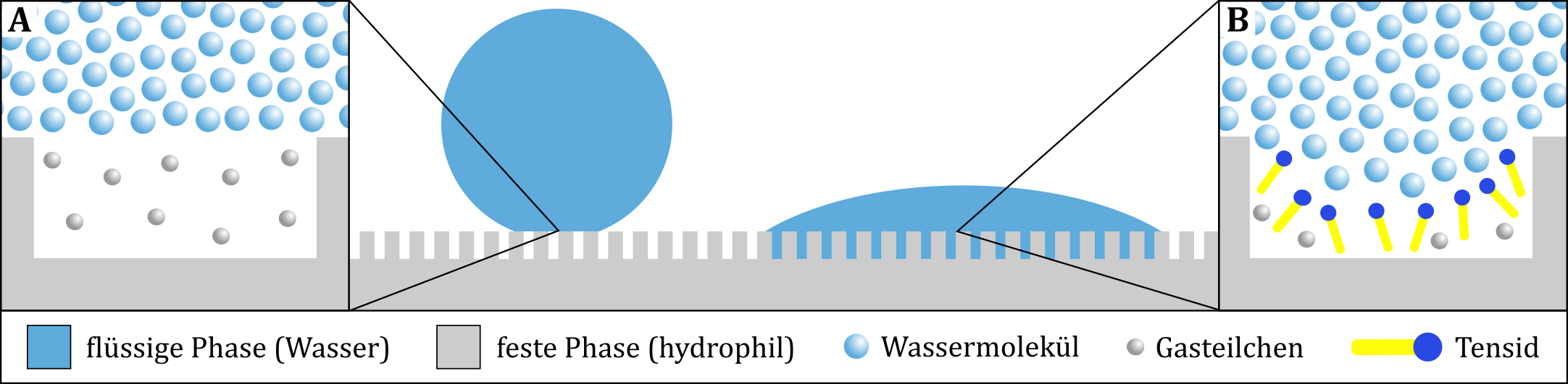 Die Benetzbarkeit einer rauen hydrophilen Oberfläche kann durch Lufteinschlüsse (A) herabgesetzt werden. Die Zugabe von Tensiden führt hingegen zu einer Erhöhung der Benetzbarkeit (B). 