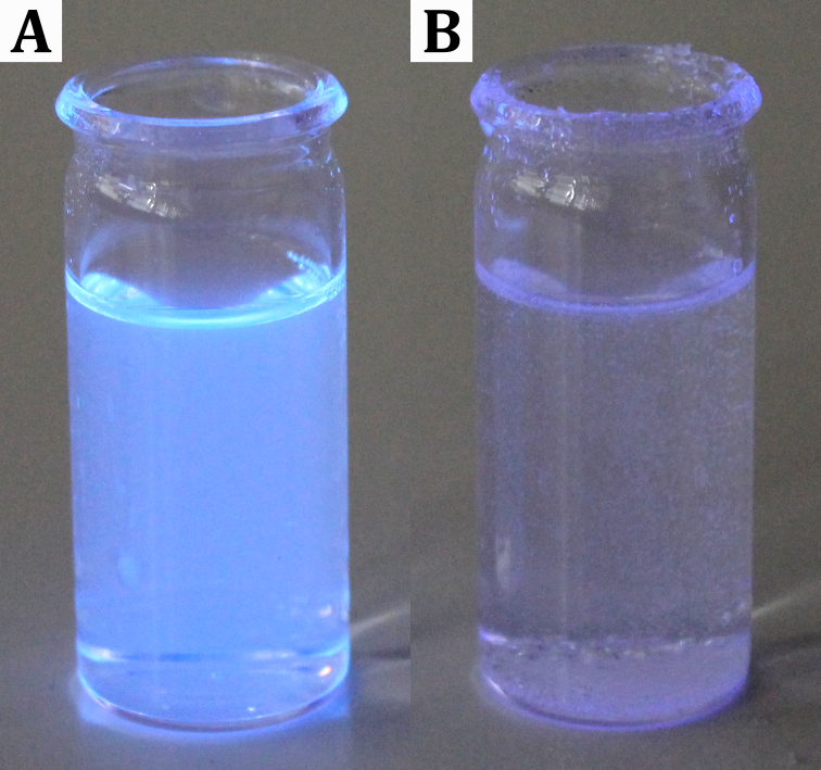Chininhaltige Lösung unter UV-Licht vor (A) und nach Zugabe von Natriumchlorid (B).