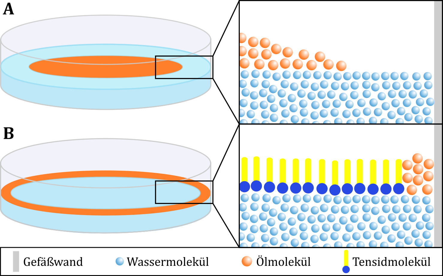 Schematische Darstellung einer Ölschicht auf der Wasseroberfläche auf makroskopischer und submikrosko-pischer Ebene vor (A) und nach der Zugabe eines Tensids (B).
