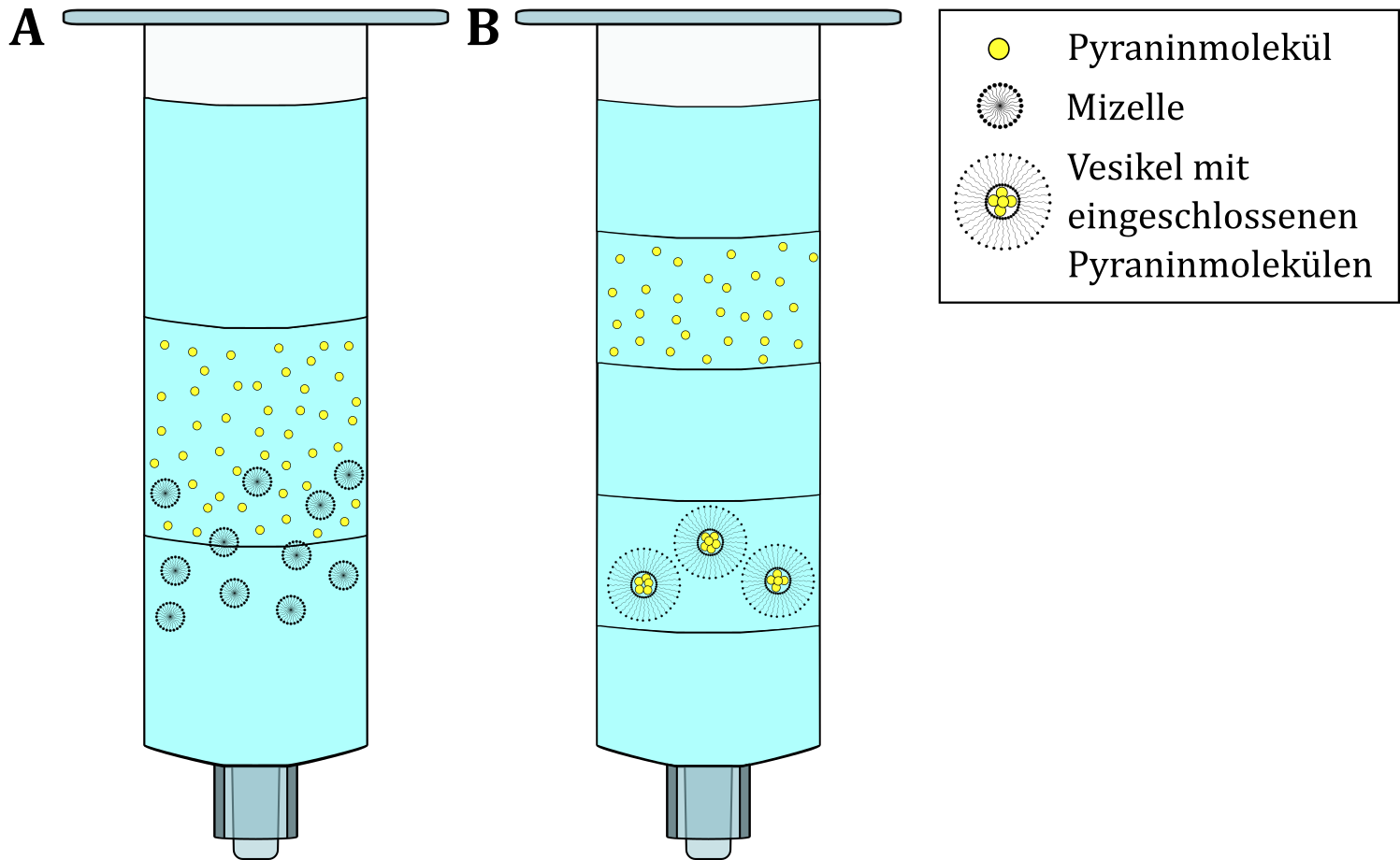 Schematische Darstellung der Auftrennung der Moleküle in den jeweiligen Säulen. (A) Lösungen A und D, (B) Lösungen B und C 