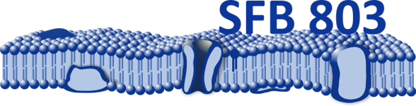 Logo SFB